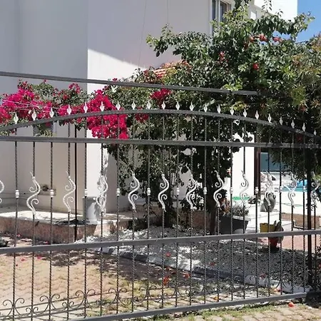 Aydin Villa *